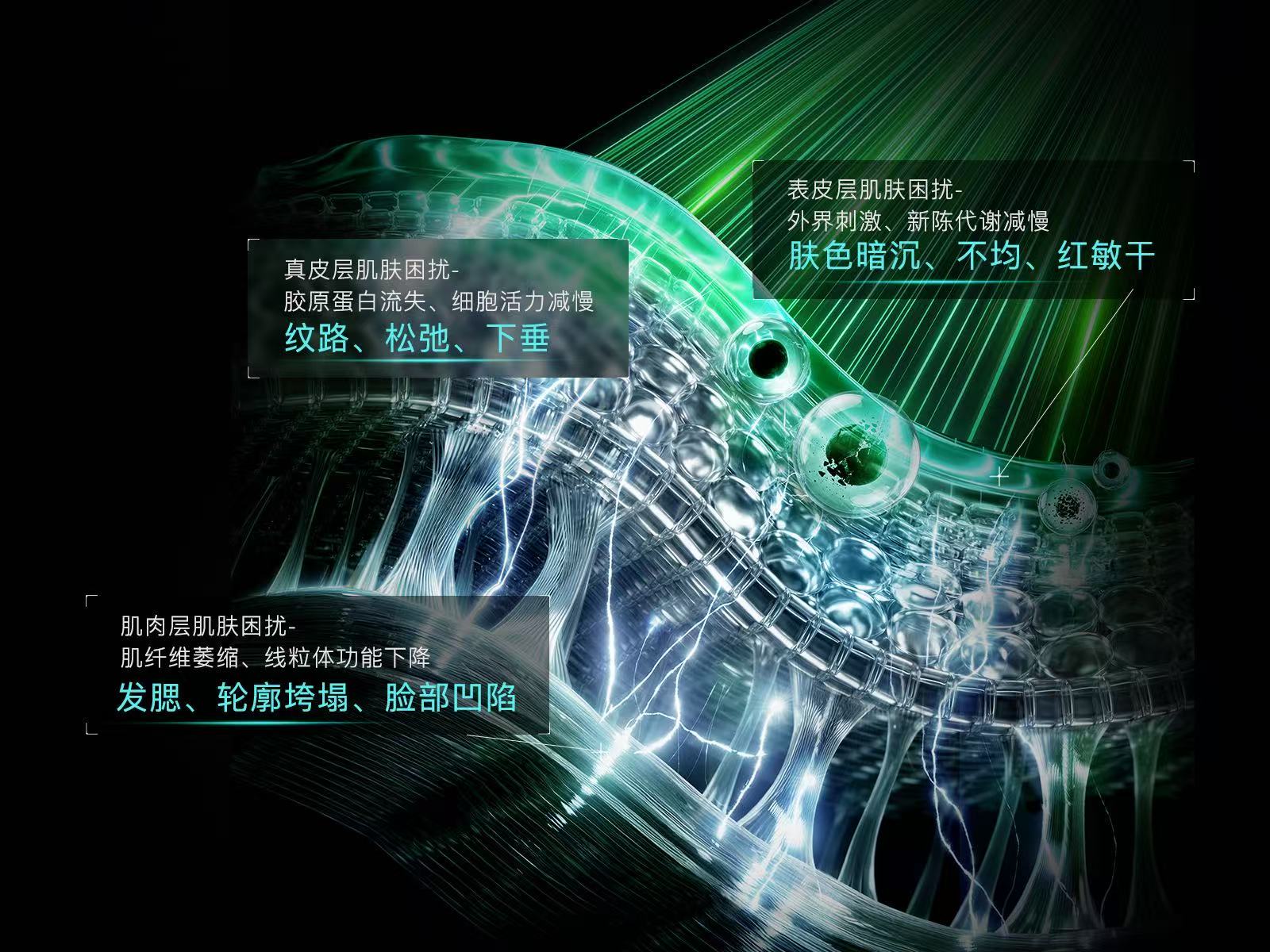 雅萌YA-MAN官方网站